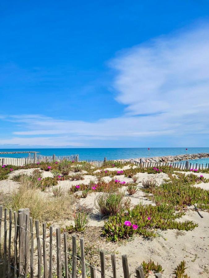 L' Appart Du Golf Saint-Cyprien  Exteriör bild