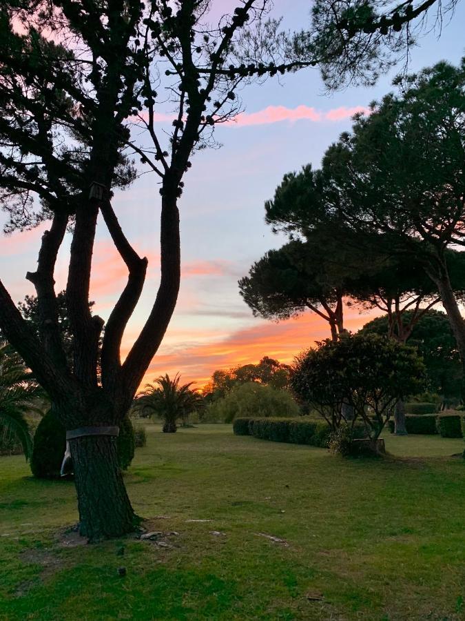 L' Appart Du Golf Saint-Cyprien  Exteriör bild